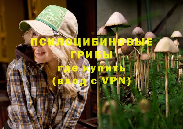 ALPHA PVP Верхнеуральск